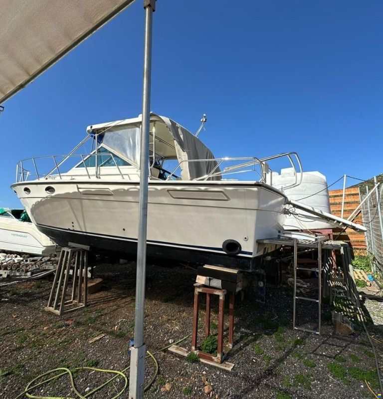 Tiara 3100