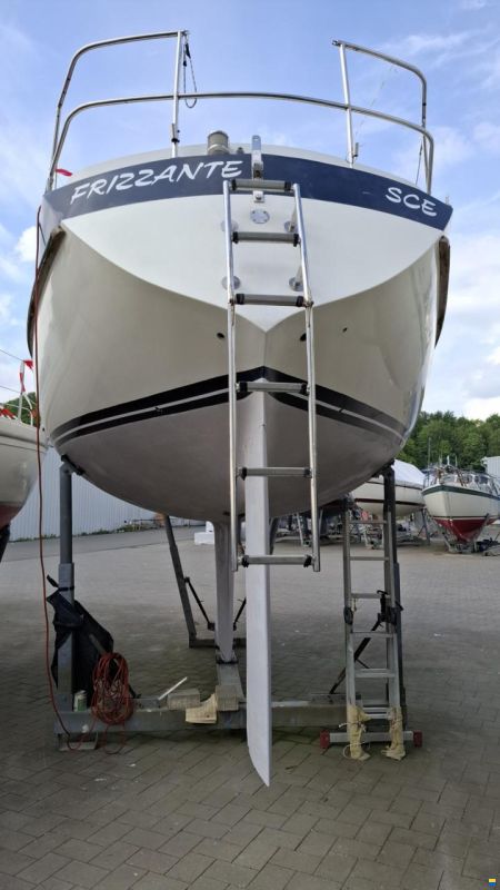Wauquiez Gladiateur 33