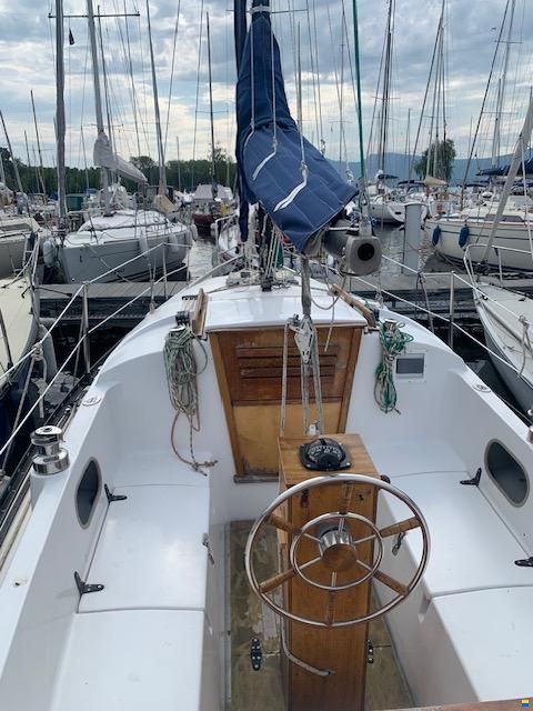 Neptun 27 D quillard