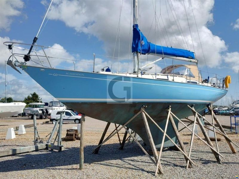 Contessa 32 image