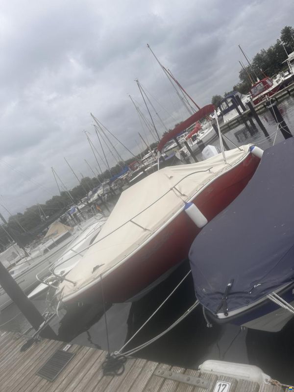 Allegra All 21 Sun