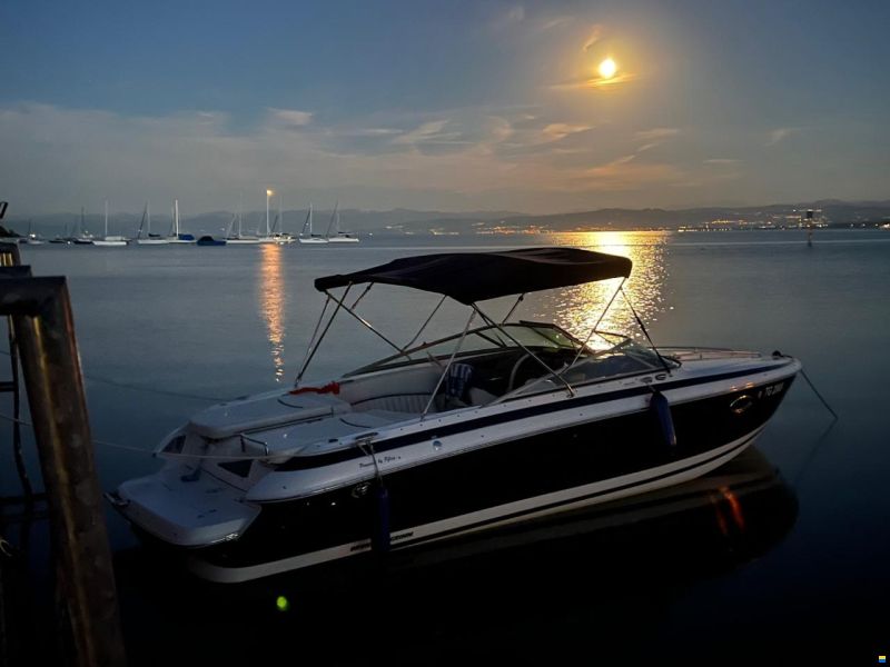 Cobalt 263 Cuddy Cabin