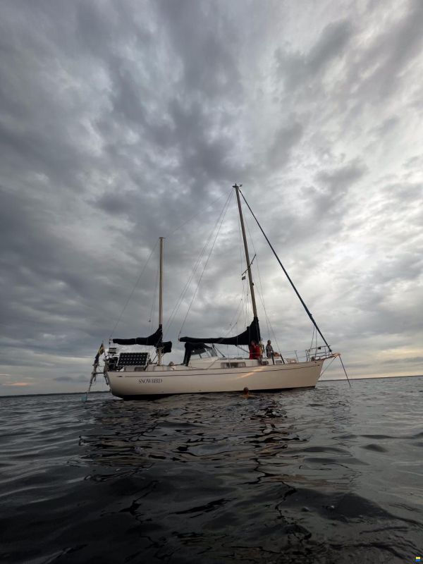 1974 Hallberg-Rassy Rasmus, EUR 35.000,-