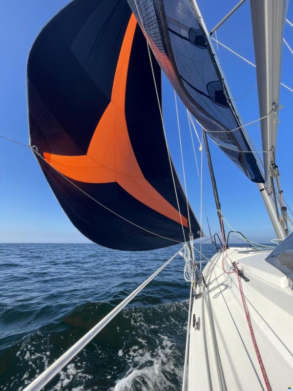 Bente 24