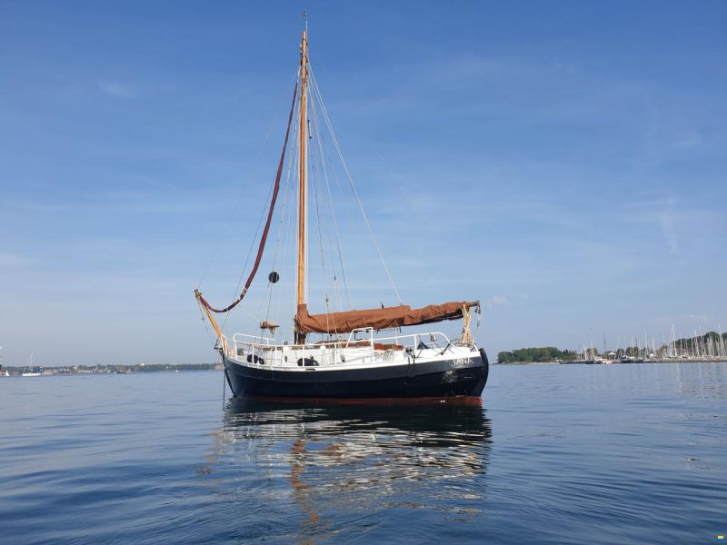 Danish Rose 31