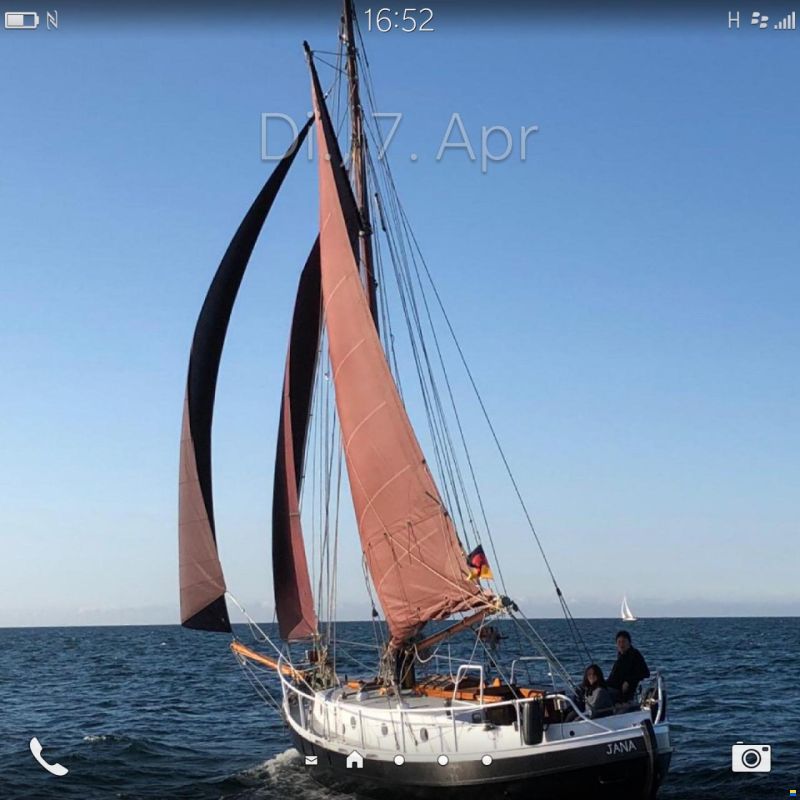 Danish Rose 31