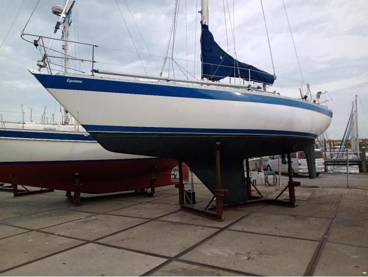 Wauquiez Gladiateur 33
