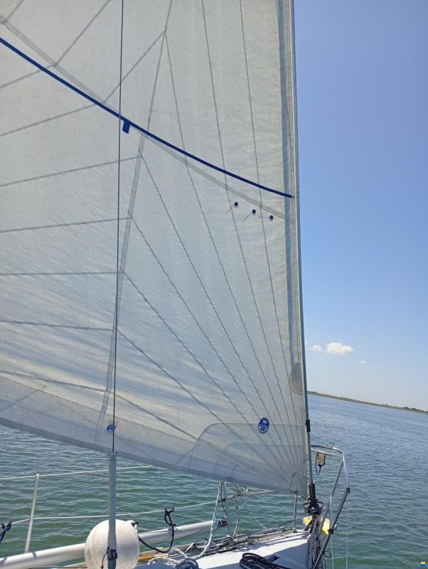 Wauquiez Gladiateur 33