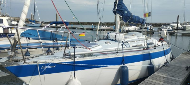 Wauquiez Gladiateur 33