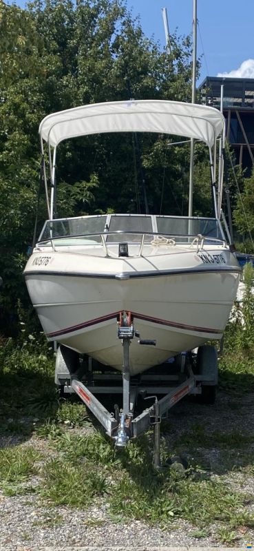Stingray ZPX 537