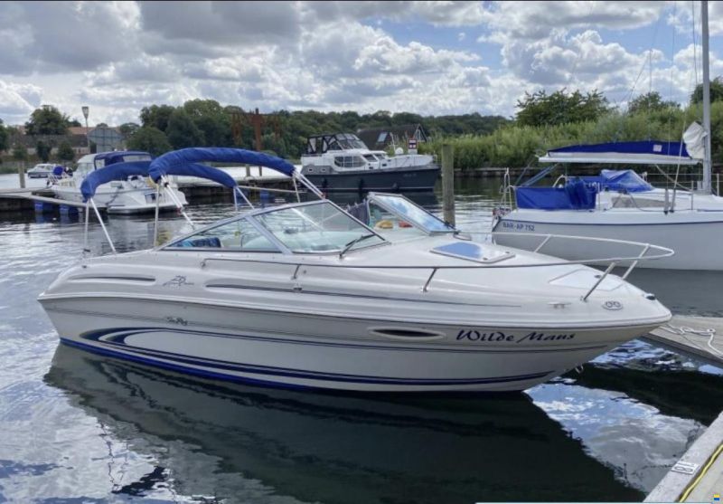 Sea Ray Express Cruiser
