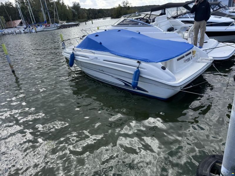 Sea Ray Express Cruiser
