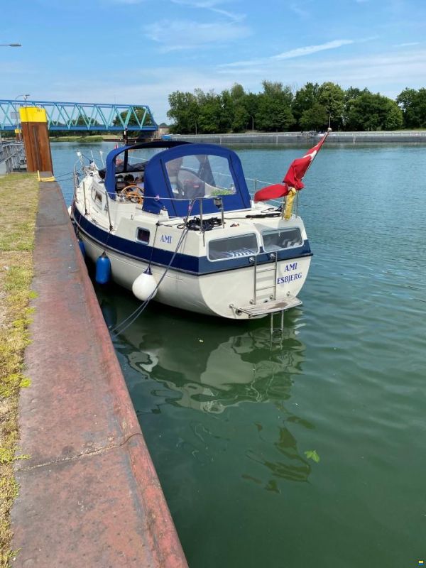 Compass 31