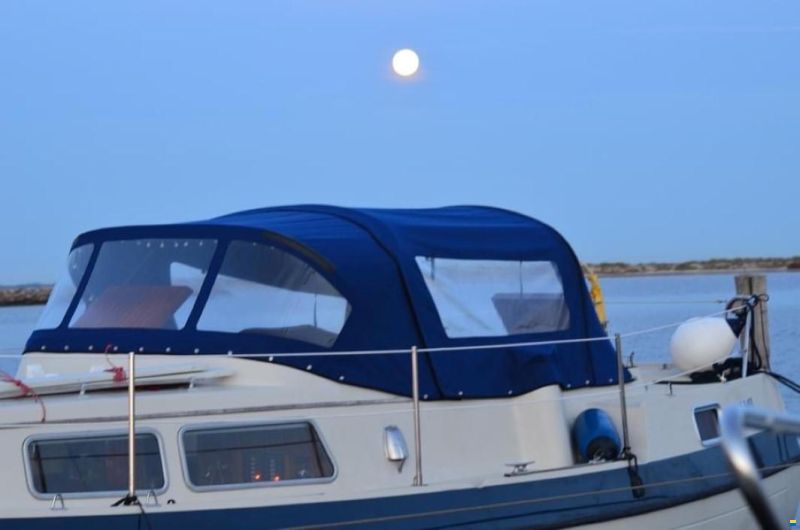 Compass 31