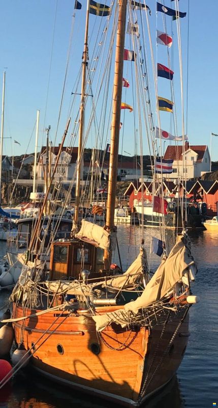 Galeas 35