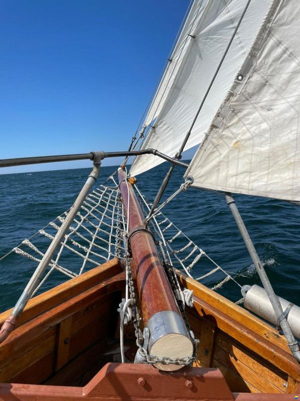 Galeas 35