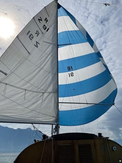 Rohn Jollenkreuzer R20 Optimus