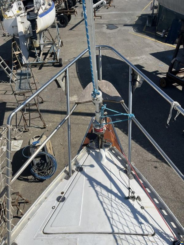 Mako Sailer New Ranger