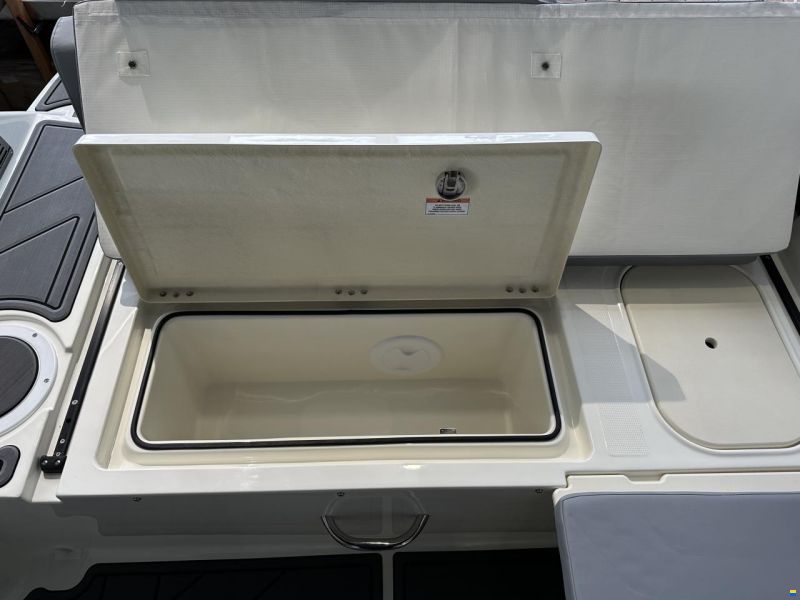 Bayliner Element M19