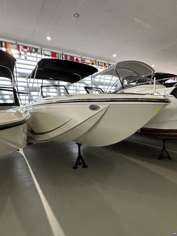 Bayliner Element M19