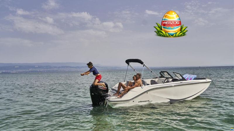 Bayliner Element M19