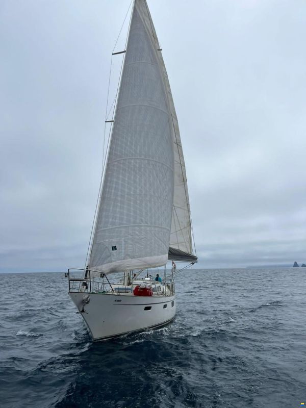 Belliure 50