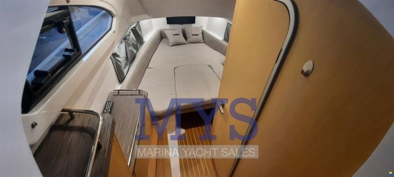 Salpa Soleil 33
