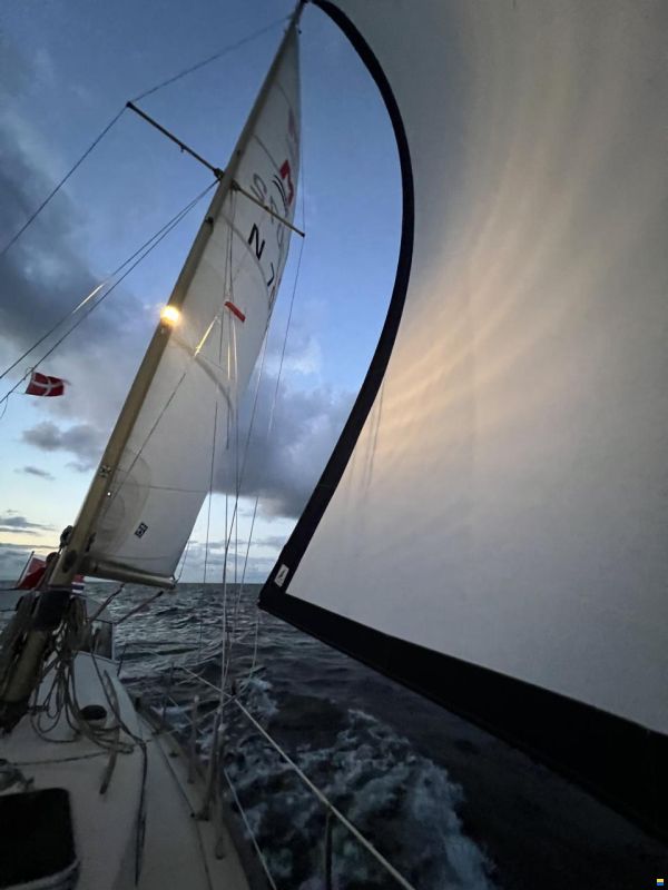 Hallberg-Rassy Monsun 31