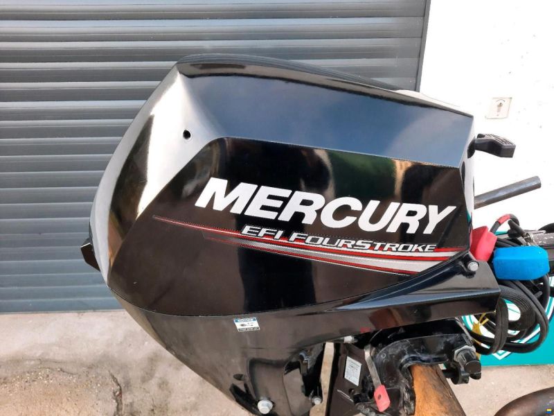 Mercury F 15 ELH-EFI