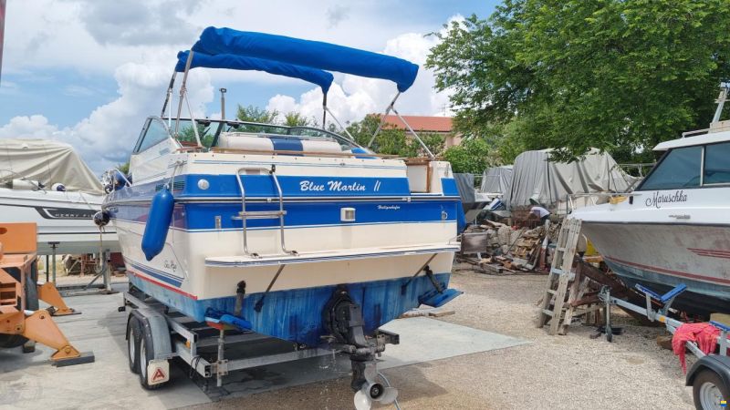 Sea Ray 268 Sundancer