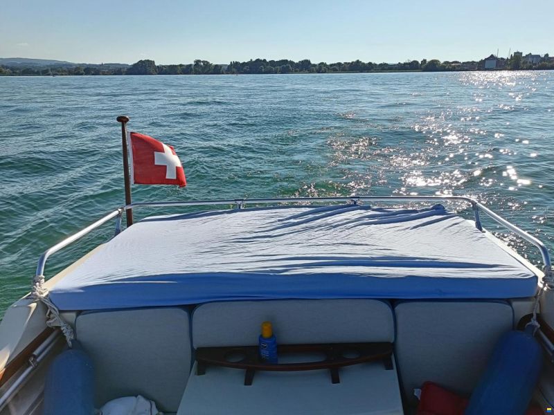 Starcraft American 18