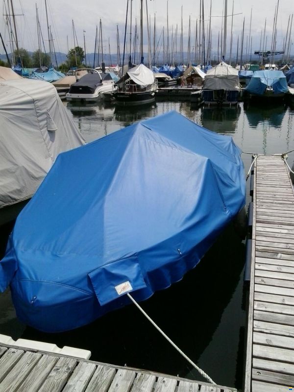 Starcraft American 18