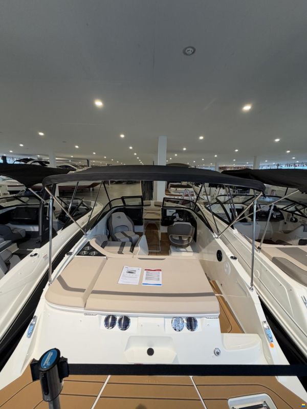 Bayliner V20i