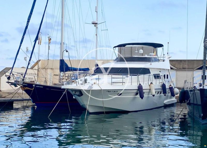 Astondoa 60