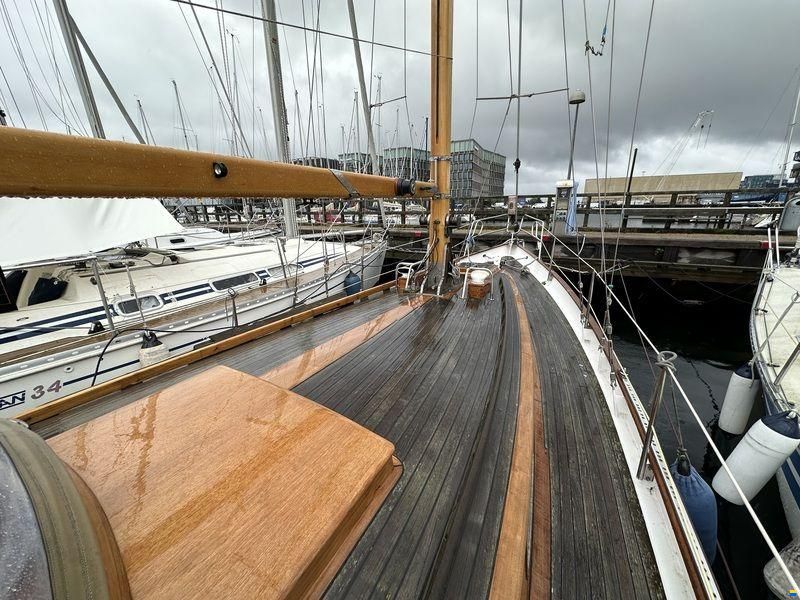 Carena 35