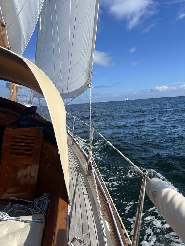 Carena 35