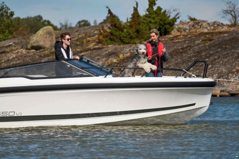 Ryds 650VI BR