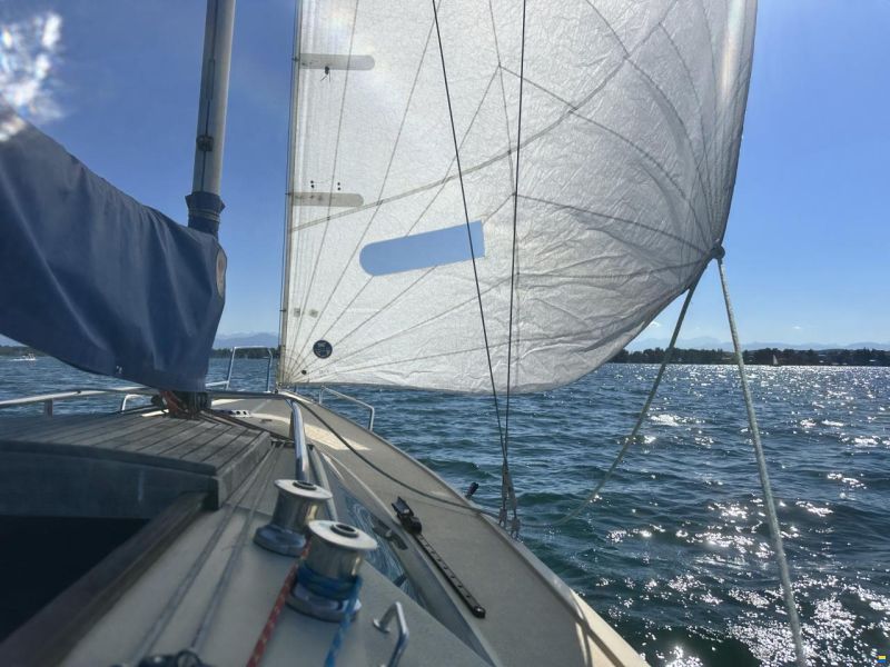 1984 806er 806 International von OL Boats, EUR 14.500,-