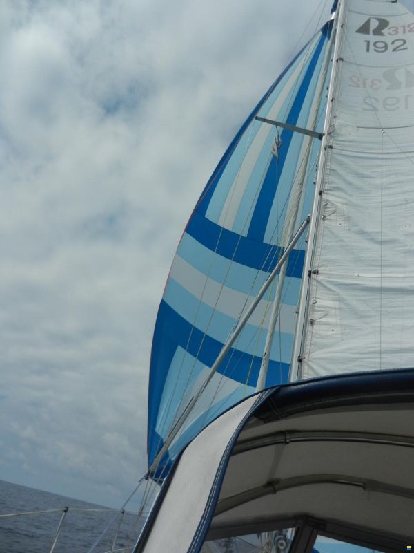 Hallberg-Rassy HR 312