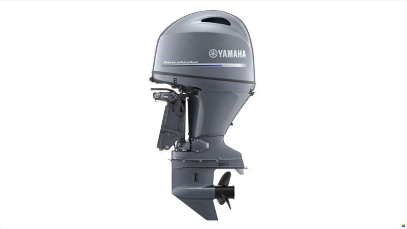 Yamaha F100