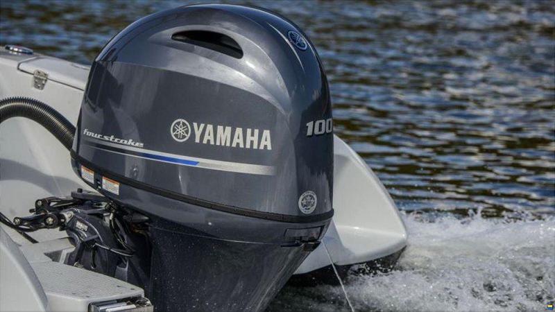 Yamaha F100