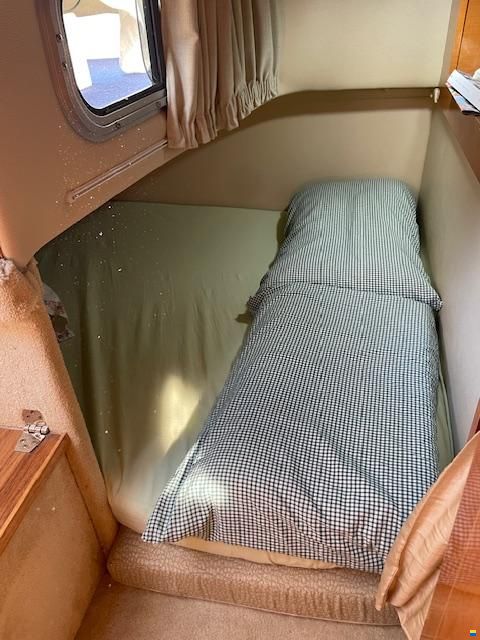 Chaparral Signature 270