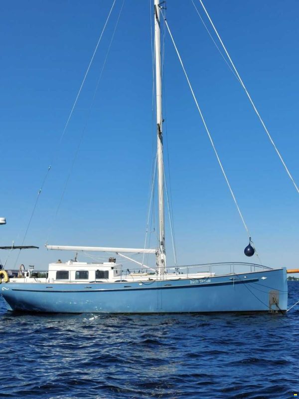Puffin 42