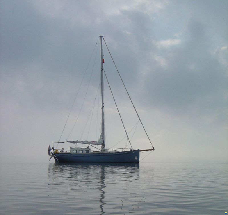 Puffin 42