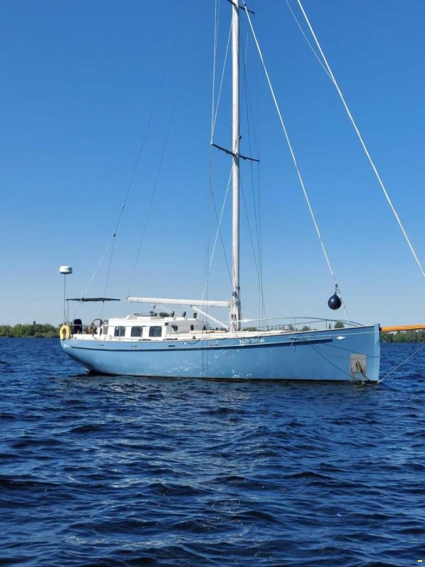 Puffin 42