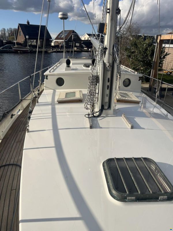 Puffin 42