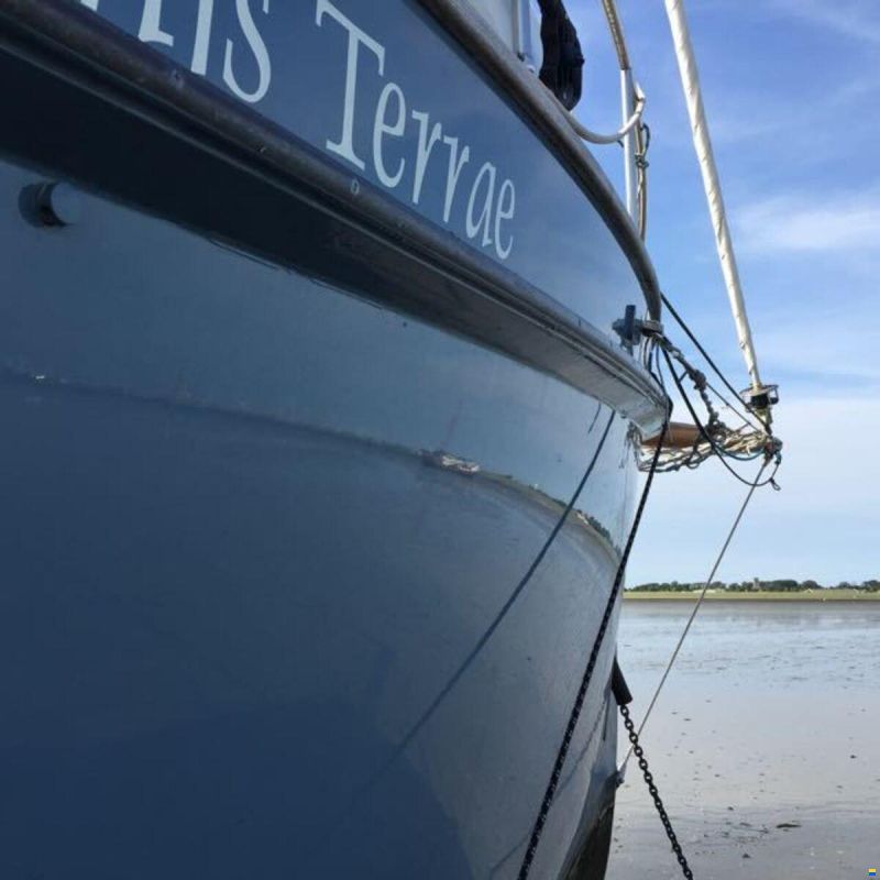 Puffin 42