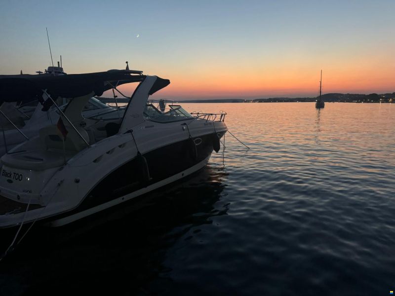 Chaparral 270 Signature