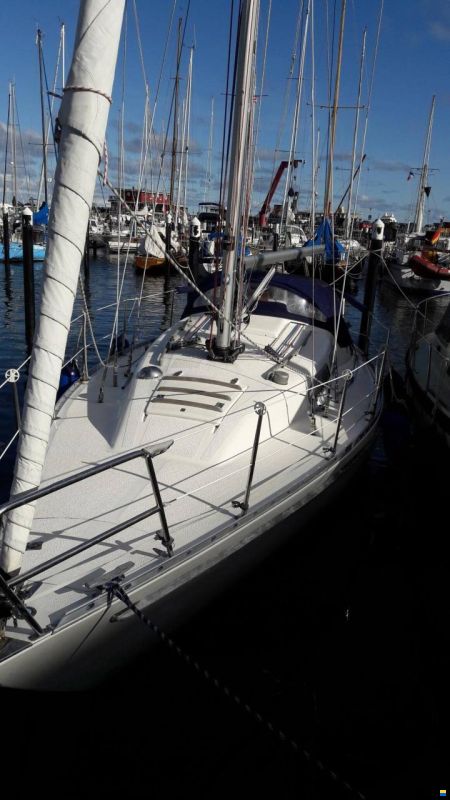 Albin Ballad 30 MK II