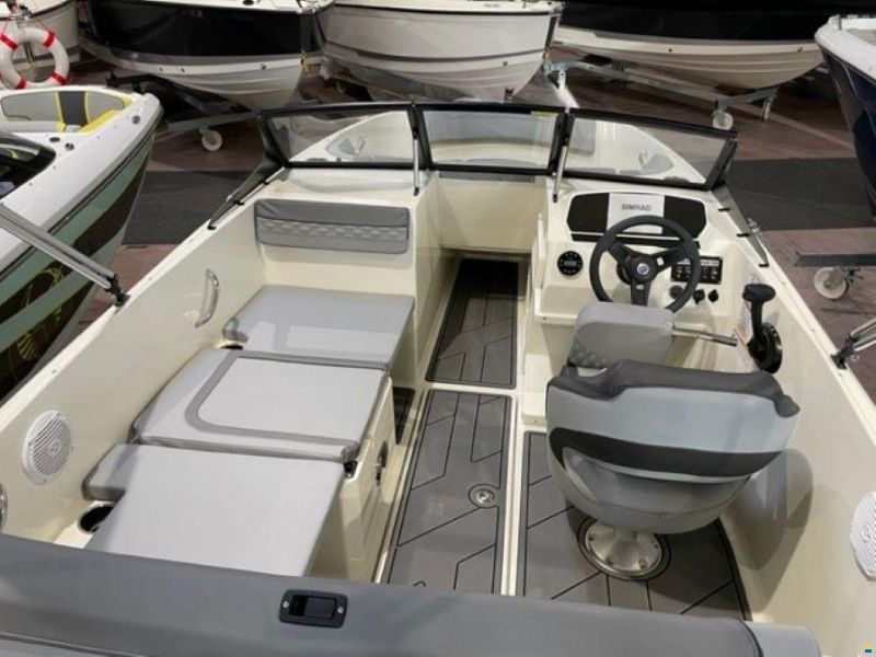 Bayliner M19